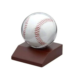 {[P[X ()@TC{[̃fBXvCɁI NAP[X