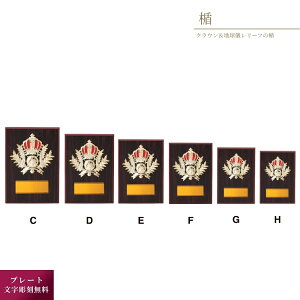 | D063 FTCY(210×150mm/320g) k/[t  \LOi VH| \ v[g bsOs