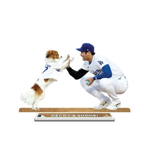 yubNtCf[ P10{zJĕ hW[XObY DECOY(fRs)&SHOHEI X`X^hiX^fB[jShohei & Decoy Photo Standee Desktop Display bsO