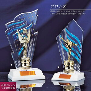 【人形が選べる】ブロンズ X581 Bサイズ(高さ200mm/約260g) アクリル製 大会 表彰記念品 日新工芸 表彰 台座プレート文字彫刻無料
