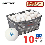 【9/18〜先着最大5,000円OFFクーポン】【9/30まで特別価格】【A倉庫】DUNLOP（ダンロップ）軟式 ソフトテ…