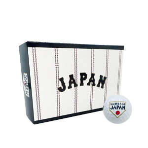 ���W���p�� �S���t�{�[�� 6���� [SJBA-6119] �S���t�p�i ���U�b�N�X LEZAX