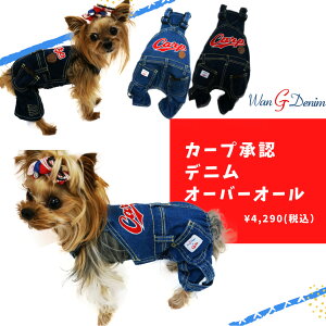 LmJ[vObY fjI[o[I[ [2010B] ybgpi ybgObY bsO