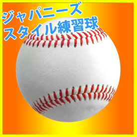 楽天市場 野球 硬式ボールの通販