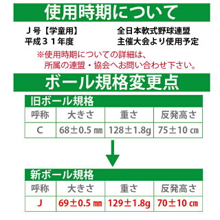 ナイガイ軟式野球ボールJ号学童向け2球セット【送料無料】