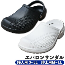 エバロン　ES-20【婦人用】 室内履き 上履き 上靴 事務所 オフィス 作業用 日本製 国内生産