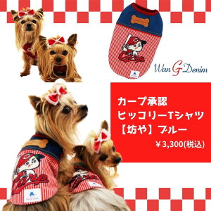 LmJ[vObY J[vFqbR[TVc u[×J[vV [2017C] S-3L hbOEFA ybgpi bsO