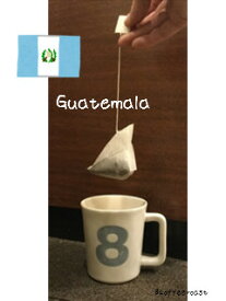 【三角　テトラパック　コーヒー】【送料無料】グァテマラ　ラ・エスメラルダ農園　イエローブルボン（アンティグア地区産）＜内容量＞10g×30パック入り