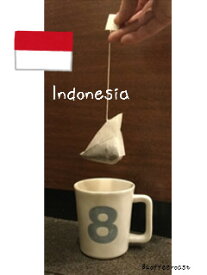 【三角　テトラパック　コーヒー】【送料無料　インドネシア　マンデリン　G-1　＜内容量＞10g×90パック　（30パック　X　3袋）