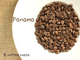 【コーヒー焙煎豆】パナマ　サンセバスチャン農園　＜内容量＞160g