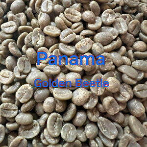 zց@R[q[@pi}@S[fr[g@ET^_@eʁ1kg`10kg@ƒp p