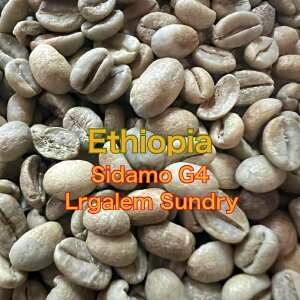 zց@R[q[@G`IsA@ V_ G4 CK ThC@eʁ1kg`10kg@ƒp p