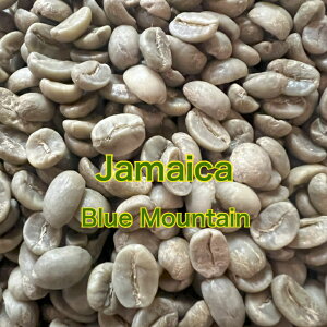 zց@R[q[@W}CJ@u[}EeNO.1@eʁ1kg`10kg@ƒp p