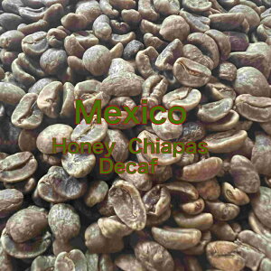 [֑Ή@R[q[@LVR@nj[`AoX@fJtF@eʁ50g`700g@ƒp p