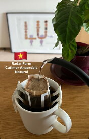 【8coffee】 ベトナム　RADAR FARM　Dung（ユン）さんのアラビカ　カティモール　アナエロビック　Natural　ドリップバッグコーヒー6袋～90袋　ハチコーヒーロースト　中深煎り シティーロースト 自家焙煎 直送 シングルオリジン