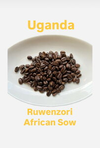 y8coffeezEK_@EF]@AtJXm[@@200g`1kg@n`R[q[[Xg@[ VeB[Xg   E VOIW