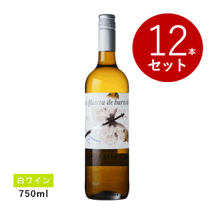 ワイン ワイン12本セット」の人気商品一覧 | 安い商品を通販サイトから