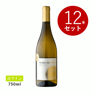 ワイン ワイン12本セット」の人気商品一覧・価格比較 - 価格.com