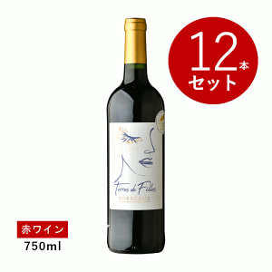 ワイン ワイン12本セット」の人気商品一覧 | 安い商品を通販サイトから
