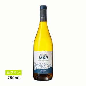 y1~ȏőzyʏ폤izAf[i Vhl(C)