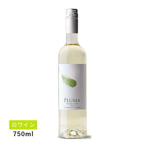 y1~ȏőzyʏ폤izv} B[j Ff(C)