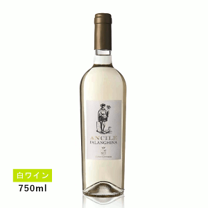 y1~ȏőzyʏ폤izA`[ t@M[i(C)