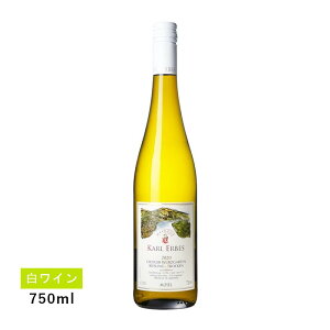 y1~ȏőzyʏ폤izcBK[ cKe N[x[A[ gbP(C)