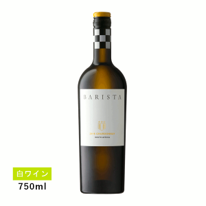 y1~ȏőzyʏ폤izoX^ Vhl(C)