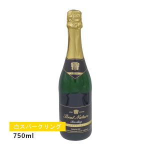 y1~ȏőzyʏ폤iz[t h[e [XO Xp[NO ubg i`(Xp[NO)