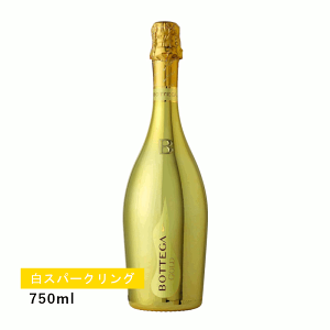 y1~ȏőzyʏ폤iz{beK S[h(Xp[NO)