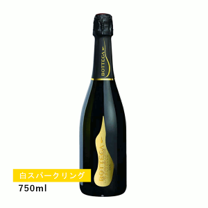 y1~ȏőzyʏ폤iz{beK B[m fB |G[eB vZbR(Xp[NO)