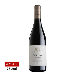 y1~ȏőzyʏ폤izgC smm[(ԃC)