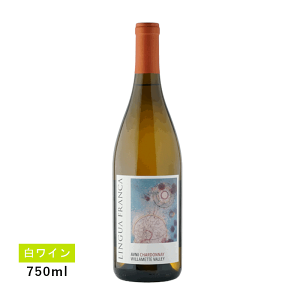 y1~ȏőzyʏ폤izOA tJ Aj[ Vhl EBbg @[(C)