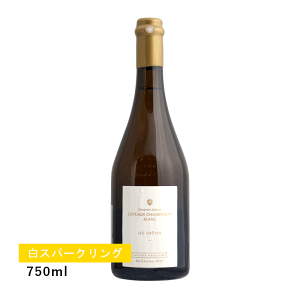 y1~ȏőzyʏ폤izT V~W[ u sm jG 2020 (Xp[NO)