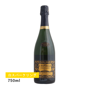 y1~ȏőzyʏ폤izR.m[_ ubg XsGO ~W 2000 (Xp[NO)