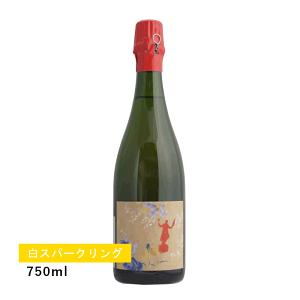 y1~ȏőzyʏ폤izft[ x[ ft[ ubg i`[ ~W 2004 (Xp[NO)