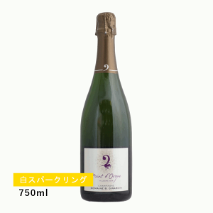 y1~ȏőzyʏ폤izB.W_ |E_O ~W 2008 (Xp[NO)