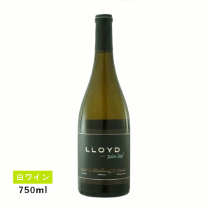 y1~ȏőzyʏ폤izCh J[lX Vhl(C)