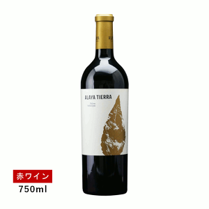 y1~ȏőzyʏ폤izA eBG(ԃC)