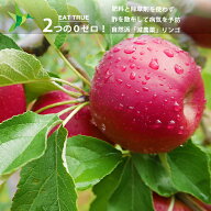 工藤さんの無肥料 無除草剤 自然派「 減農薬 」リンゴ「 紅玉 」【 3kg 】10月上旬頃から順次発送開始（…