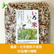 令和7年 新米 雑穀 50品種 玄米 き 農薬化学肥料を使用しない50種の雑穀 自然栽培「 いろいろ米 」【 1kg…