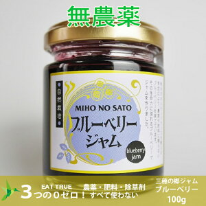 u Ő v R͔| W ( u[x[ )y 100g z  _ 엿  p p̂