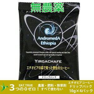 G`IsA̐Xň쐶̃R[q[uKb`tF(hbvpbN)y10g×4z`Ԃ̂悤ȍ肪Ă 3980~ȏ㑗 _ 엿  G`IsA 쐶̃R[q[ R