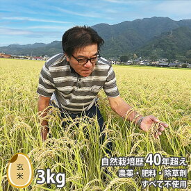新米 令和5年 無農薬 米 自然栽培 稲本 一号 玄米 3kg 新米 令和5年 産 自然農法 無農薬米 一等 一等米 熊本県 産 送料無料 農薬不使用