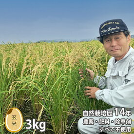 新米 令和5年 無農薬 米 自然栽培 太田 ササシグレ 玄米 3kg 新米 令和5年 産 自然農法 ささしぐれ 無農薬米 宮城県 産 送料無料 農薬不使用