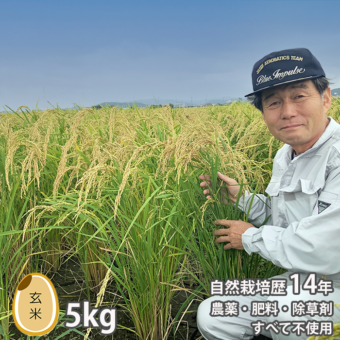 楽天市場】新米 令和5年 無農薬 米 自然栽培 太田 ササシグレ 玄米 5kg