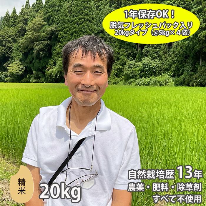 無農薬 新米 令和5年 無農薬 米 自然栽培 新米 野坂さんの自然栽培米