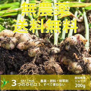 _[ 엿[ R͔|̃VEKy 200g zmY`zm̃VEK ͂Ⴄ _sgp 엿sgp ܕsgp R͔|Œ 