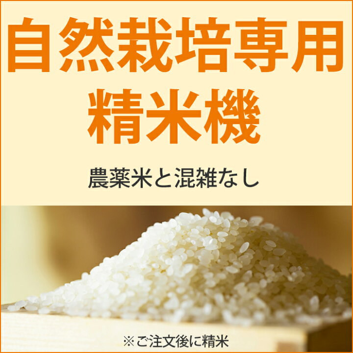 楽天市場】【ササニシキ 成澤 精米 10kg 】令和6年 無農薬 米 自然栽培  