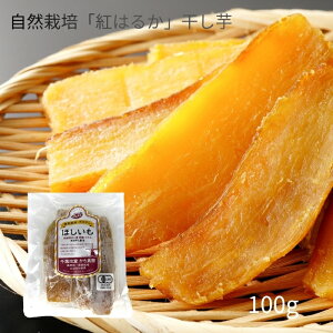 _@@R͔|Ag͂邩 y100gzt@qs@@ق@g͂邩 L@JASF I[KjbN Y@Y ōx45x